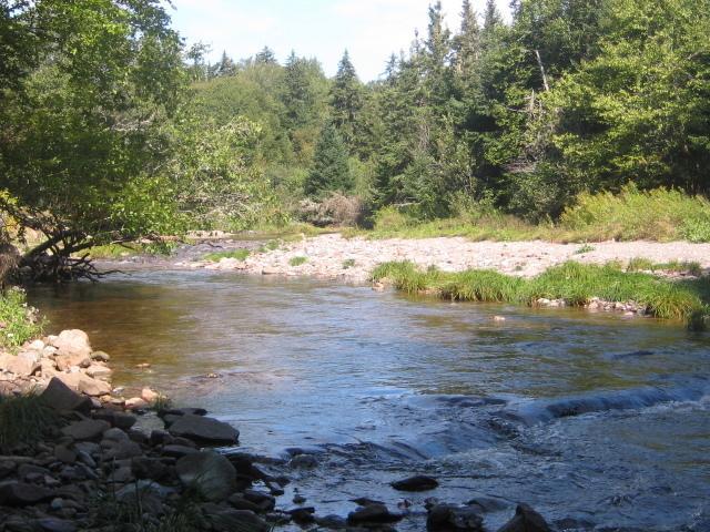 Moore'S Specialties Fundy Bay House Rental Gardner Creek Exterior foto